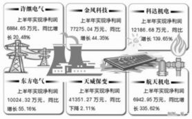 新興能源產業 企業發展戰略與技術創新前景